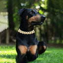 Elegant Diamond Dog Collar for Walks