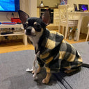 Winter Wool Pet Hoodie Cozy Chihuahua Pug Sweater Warmth