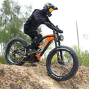 HEZZO Carbon Fat Tire Electric Bike