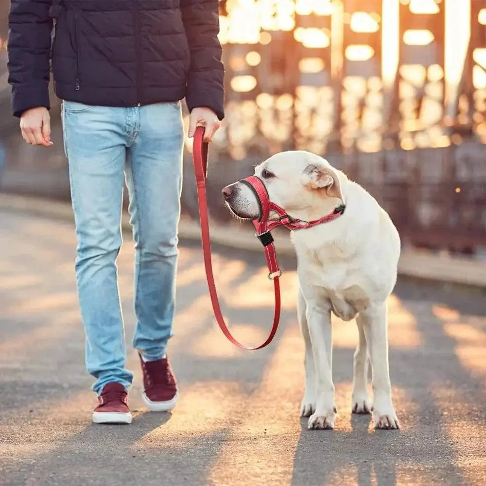 Reflective Dog Muzzle Set For Bark Control And Safety