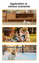 No WiFi Pet Collar Cam for Cats and Dogs