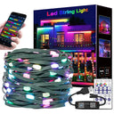 WS2812B RGBIC Dream Color LED String Lights 5M 10M 20M With Remote For Party