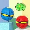 Flying Disc Dog Toy for Active Training
