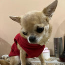 Winter Soft Fleece Dog Coat for Small Breeds Warmth