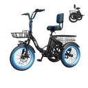 Qlife Triker - Fat Tire
