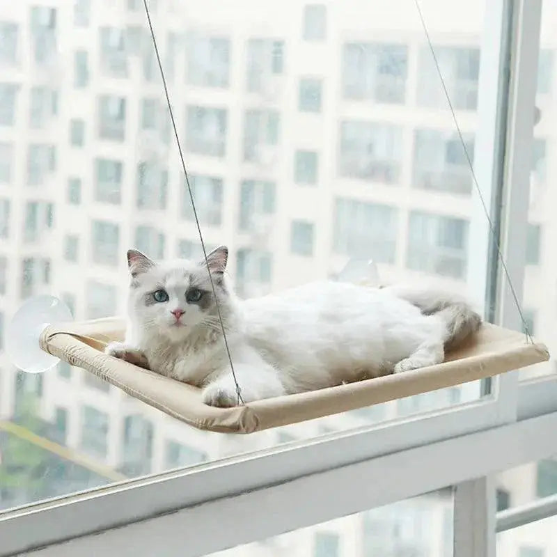 Cat Hammock Bed Sunny Window Seat Kitten Climbing Frame