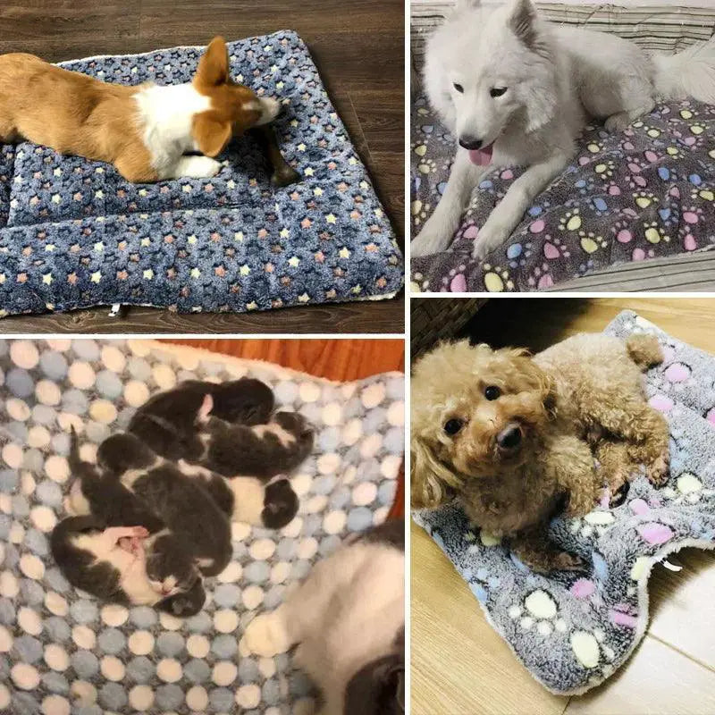 Cozy Pet Blanket Soft Warm Fleece Bear Pattern Pad Cover