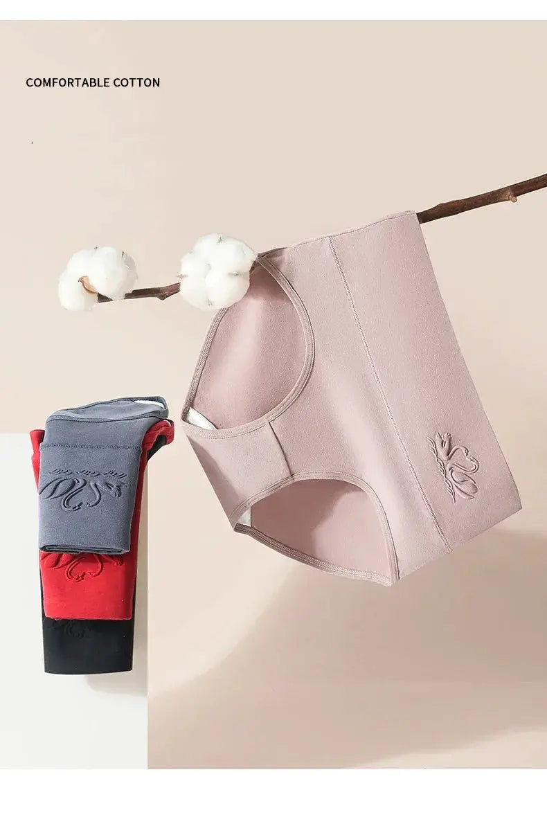 Shaping Panties - Women All Day Wear — product view 20
