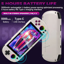 Trimui Smart Pro Retro Handheld
