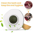 Dental Health Cat Toy Ball For Playtime