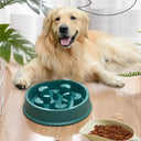 Slow Eating Feeder Bowl for Small Pets