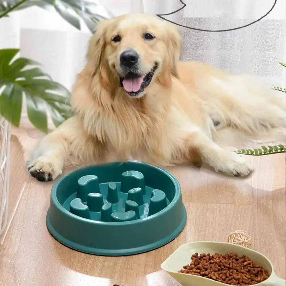 Slow Feeder Bowl For Small Dogs And Cats Non Slip Chokeproof