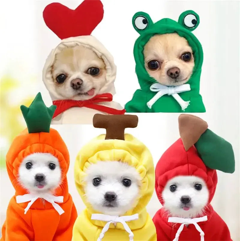 Cute Fruit Dog Clothes For Small Dogs Warm Fleece Hoodie