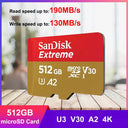SanDisk High Endurance Memory Card