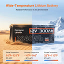 Humsienk 12V 300Ah LiFePO4 Battery 200A BMS