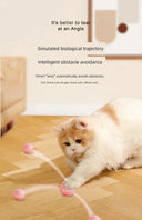 Smart Cat Teasing Ball for Curious Cats