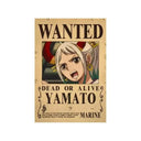 One Piece Luffy Poster for Anime Fans
