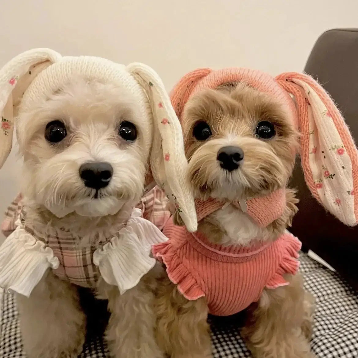 Cute Rabbit Ears Pet Knitted Hat For Autumn And Winter