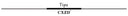Weight Loss Waist Trainer Belt for Men