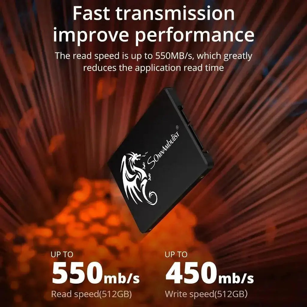 SomnAmbulist High Speed RGB SSD for PC Laptop Internal Drive