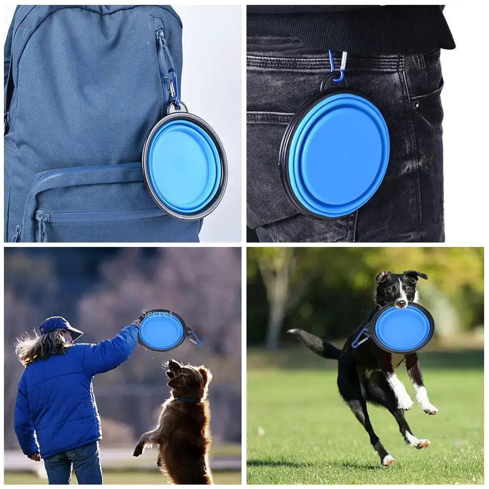 Silicone Collapsible Pet Bowl With Carabiner For Travel