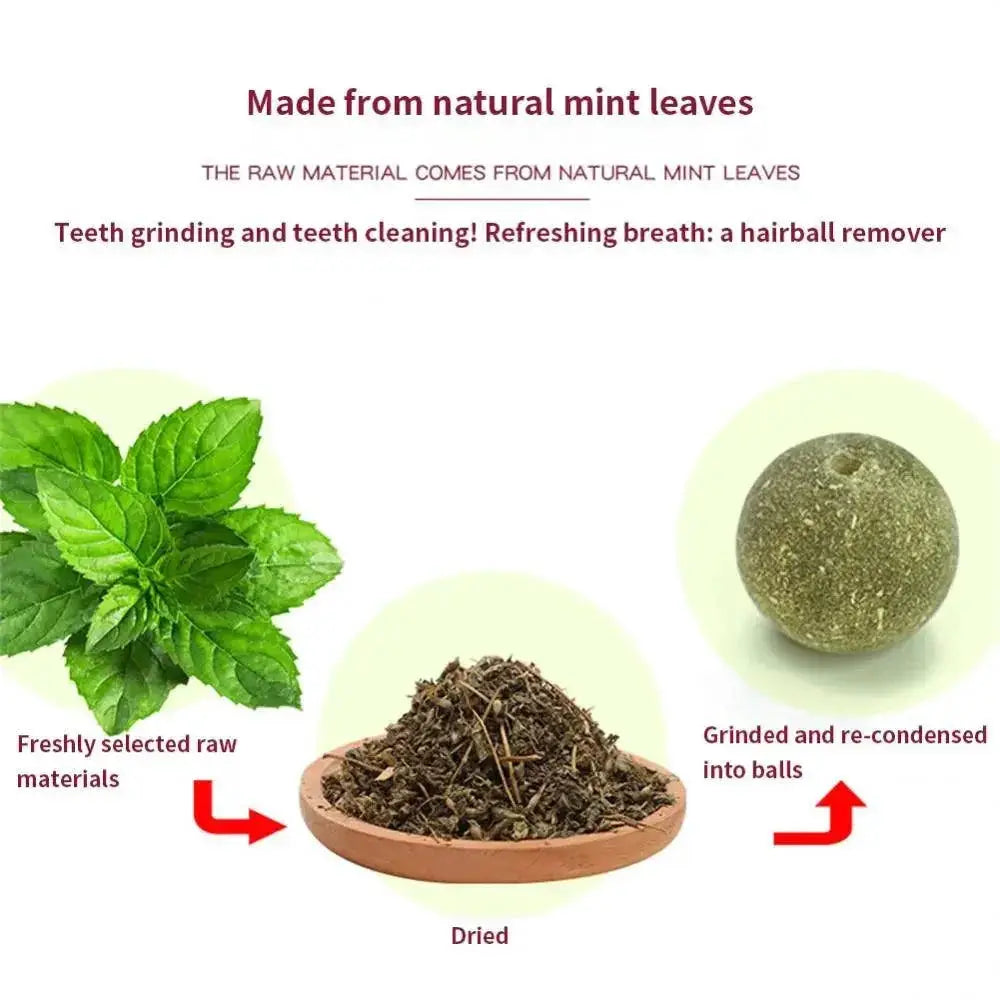 Catnip Wall Ball Cat Toy for Cats Dental Health for Kittens