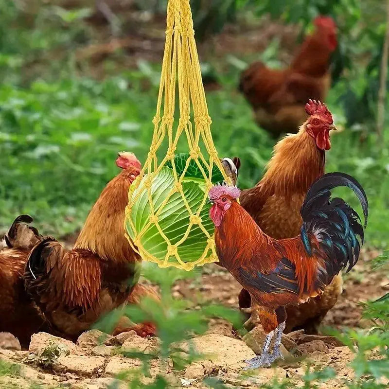 Chicken Vegetable Fruit Feeder Hanging Mesh For Coop