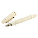 Smooth Writing Fountain Pen for Pros