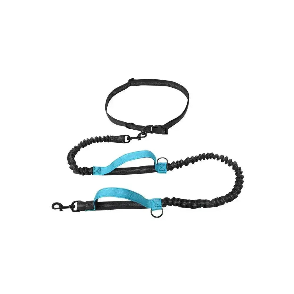 Reflective Hands Free Dog Leash With D Ring Harness Design
