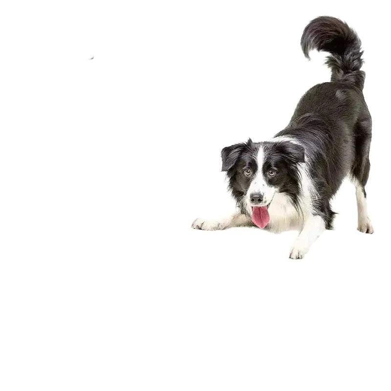 Interactive Plush Dog Ball Playtime — as the picture 1