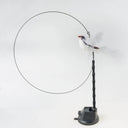 Handfree Cat Wand with Bell & Feather Toy for Cats