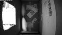 Smarter Bird Box Camera for Birdwatchers