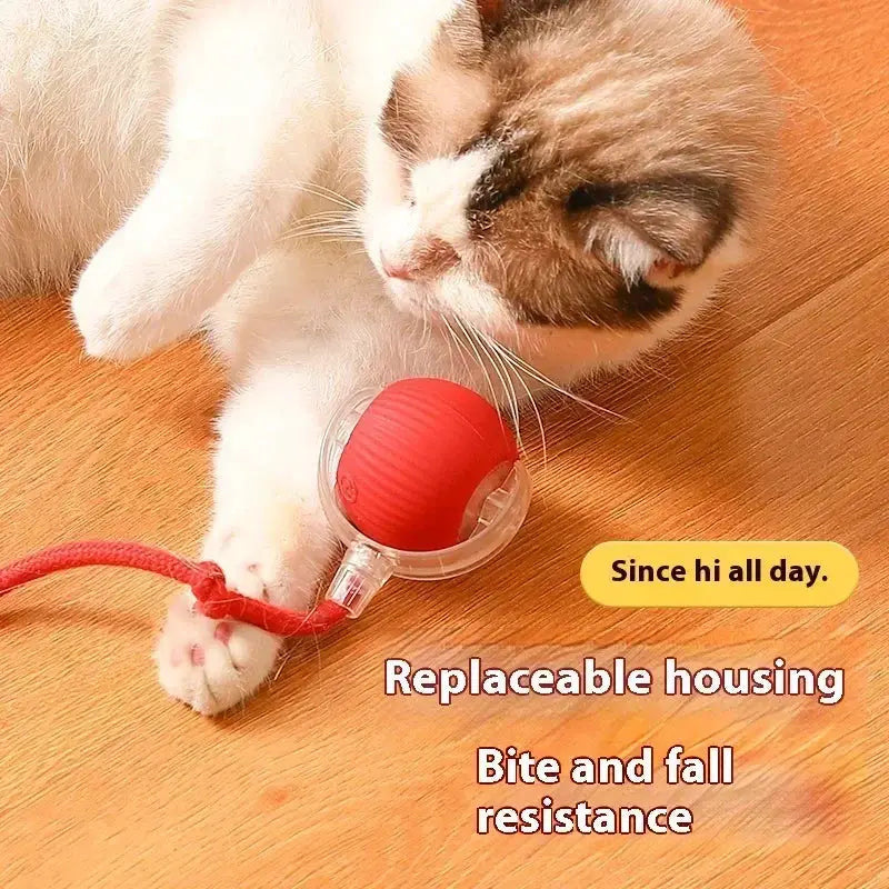 Interactive Auto Electric Rolling Ball Cat Toy for Cats