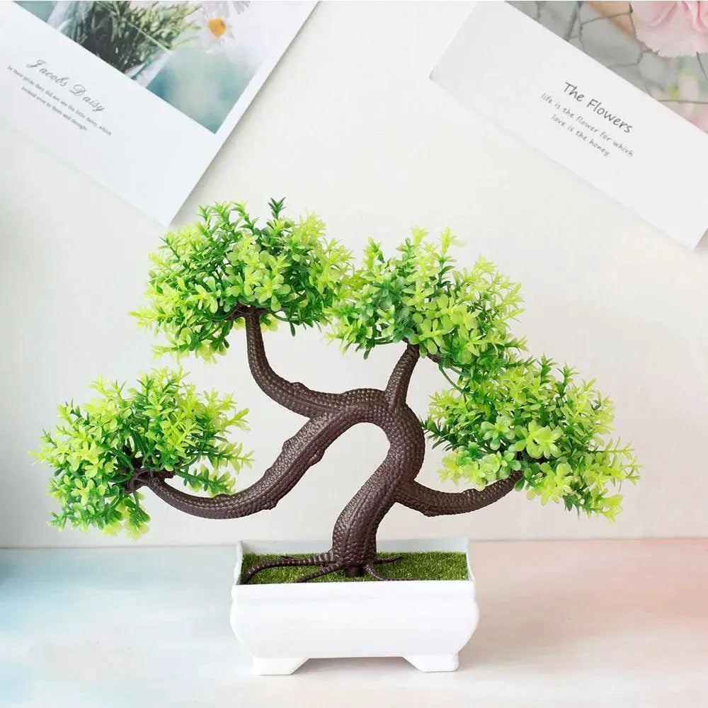 Low Maintenance Bonsai Desk Plant Decor — B5