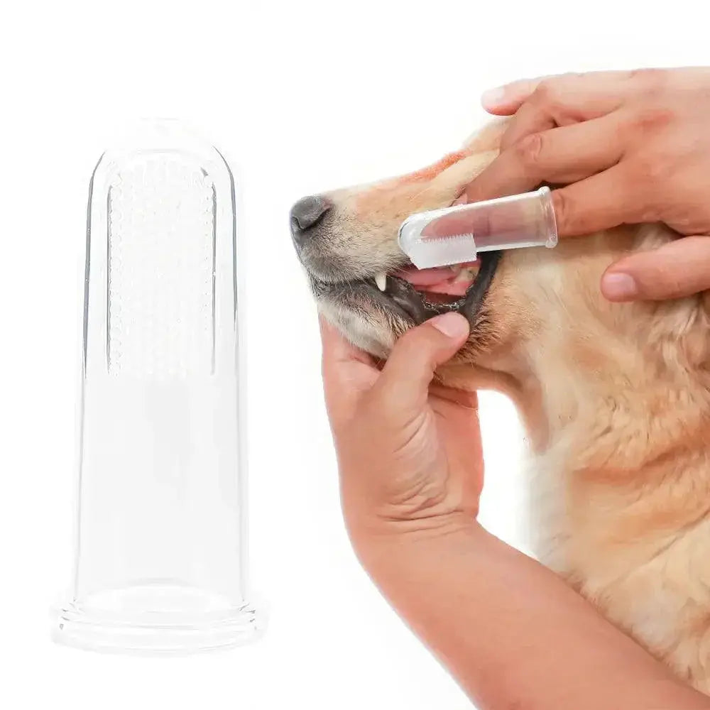 Pet Dental Care Kit Soft Toothbrushes And Finger Brush