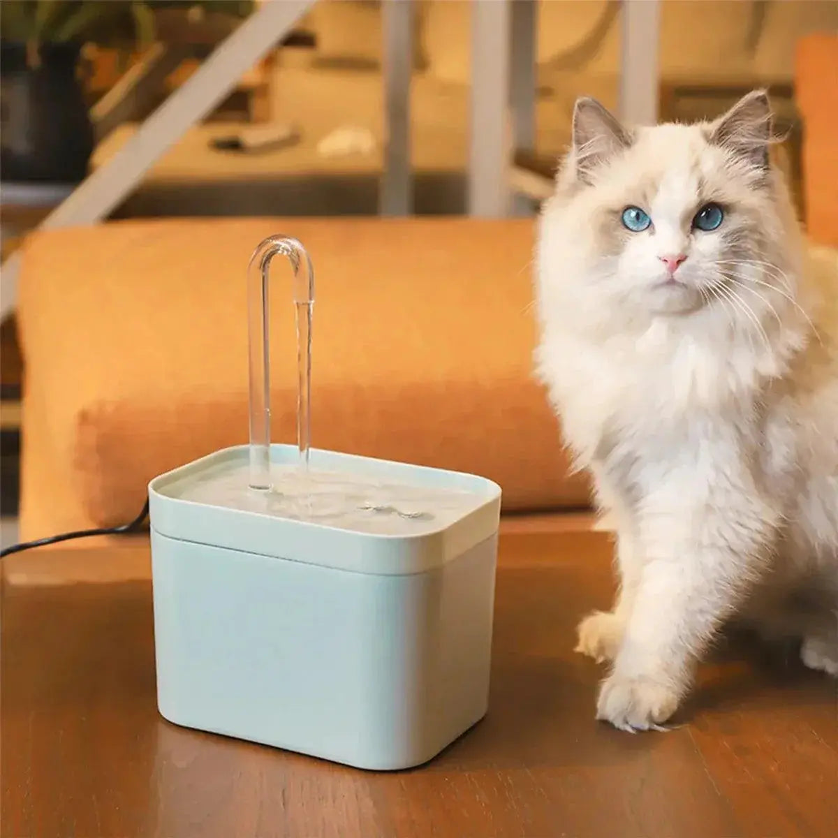 Cat Water Fountain Auto Filter Drinker Healthy Hydration