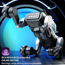 Robot Dog for Kids: Singing 2.4G RC Toy