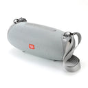 Portable FM Radio Speaker