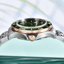 Pagani Design Men Automatic Watch Mens