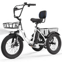 ESKUTE 500W Fat Tire Electric Trike