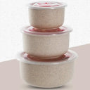 Wheat Straw Bowl Set - Eco Friendly Food Storage