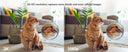 Smart Indoor Security Camera for Homes