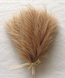 Effortless Pampas Grass Decor for Home