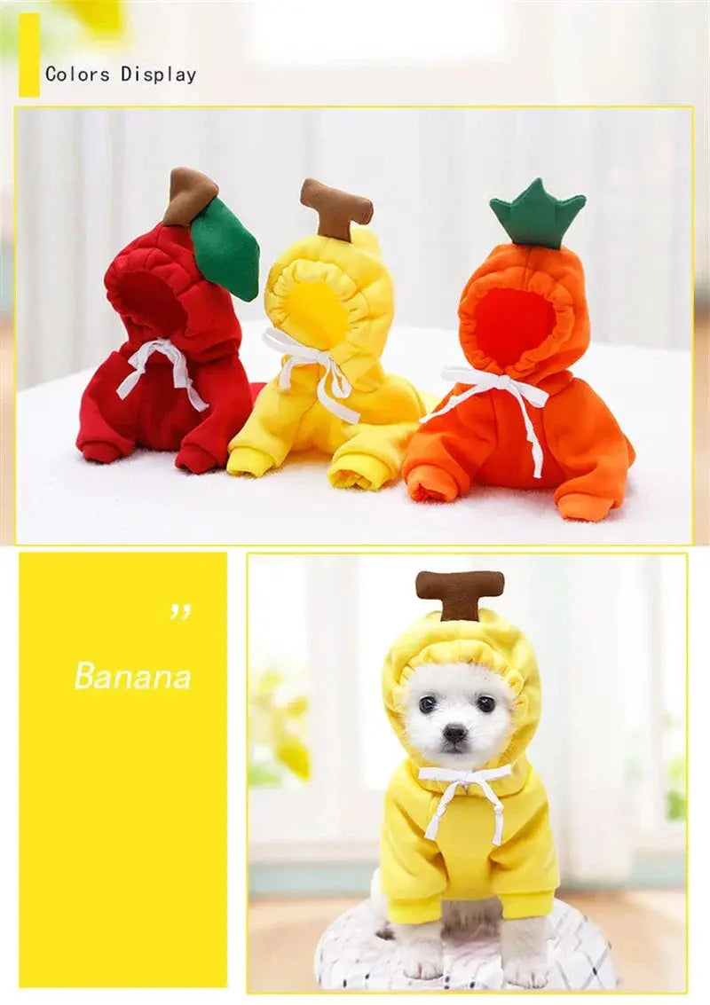 Cozy Warm Dog Hoodie for Small Dogs — product view 15