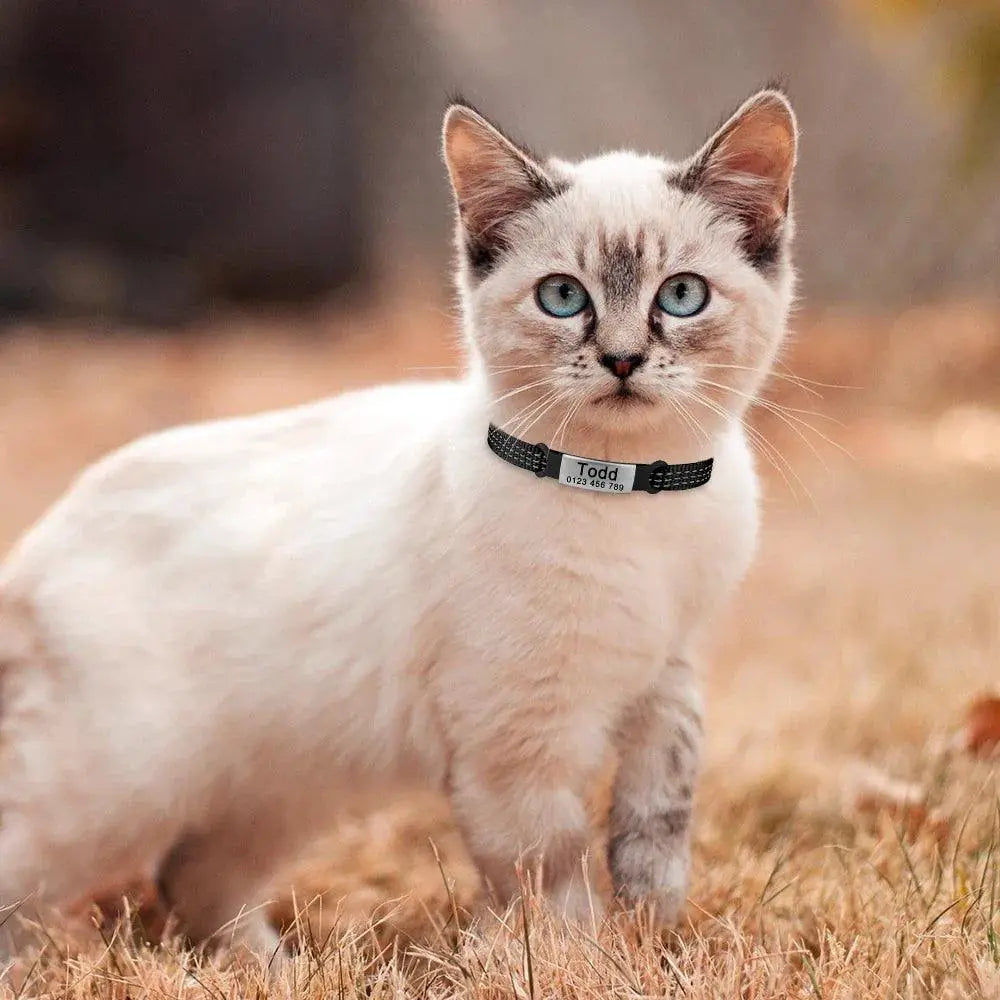 Nylon Cat Collar with Bell Reflective Personalized