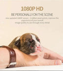 Original SQ11 Mini Camera 1080p HD Micro Camera 30 frame Action Video Camera Sports DV Outdoor Gopro Night Vision Support 128G