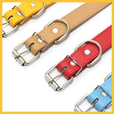 Leather Personalized Pet Collar with Rhinestone Letters for Dogs