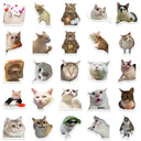 Funny Cat MEME Stickers Pack for Vibrant DIY Decor