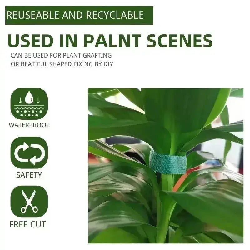 Plant Tie Set Nylon Bandage Hook Loop Bamboo Cane Wrap