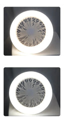 Quiet Ceiling Fan Lamp for Bedroom Space